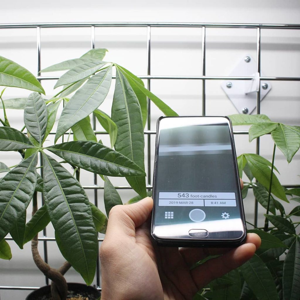 houseplantjournal: My FREE light meter app is now available for Android! (link in profile – sorry i… My FREE light meter app is now available for Android! (link in profile - sorry i...