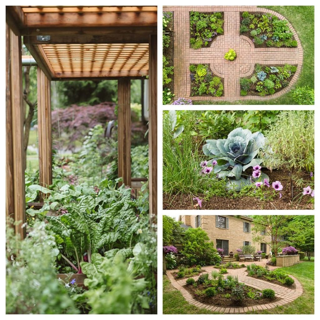 What's better than a flower garden? A flower garden full of herbs and vegetables...