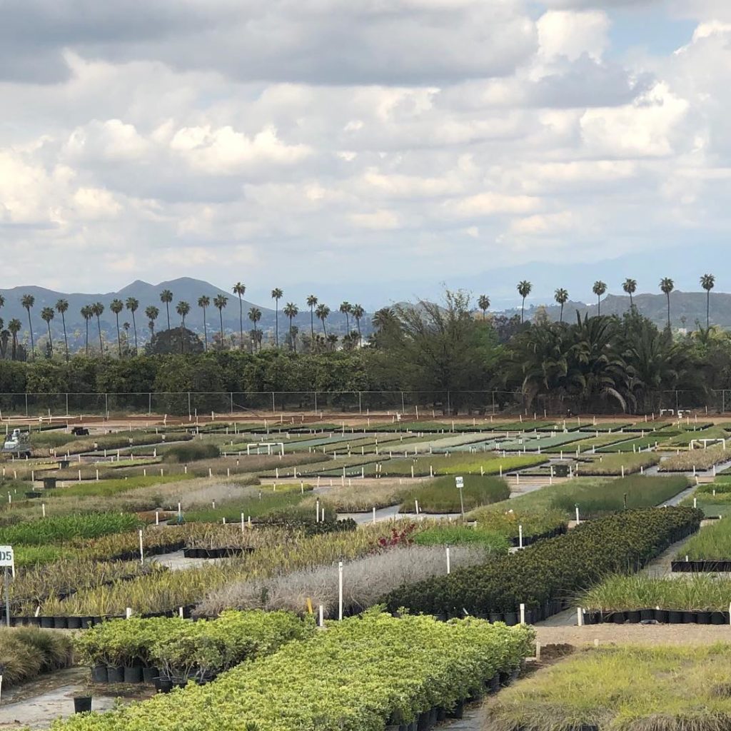 Don’t you love the sights and smells of plants growing? Here at Carl Pong’s Gree...