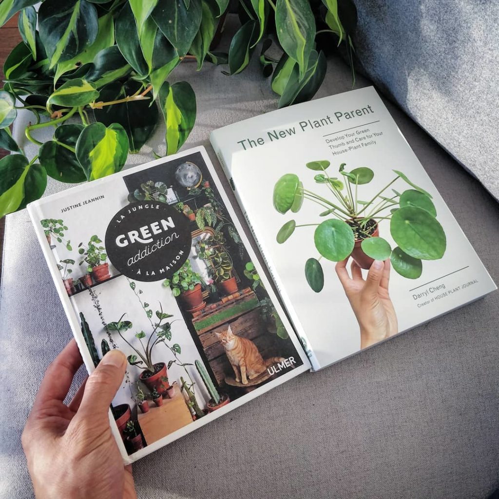 Super proud of my friend Justine @sweetyoxalis @whattheflower_paris for releasin...