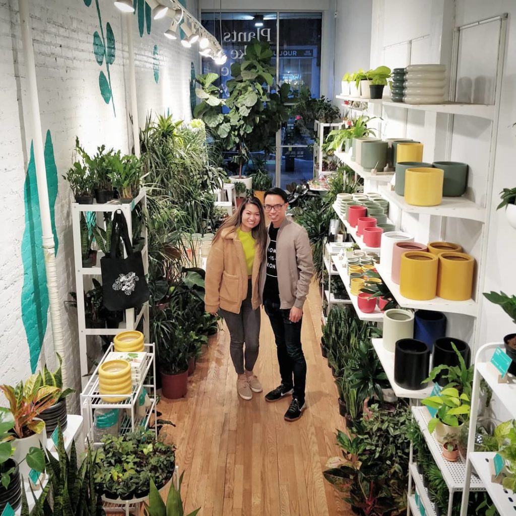 houseplantjournal: Thank you to everyone who came out to see me! It was wonderful to chat plants an… Thank you to everyone who came out to see me! It was wonderful to chat plants an...