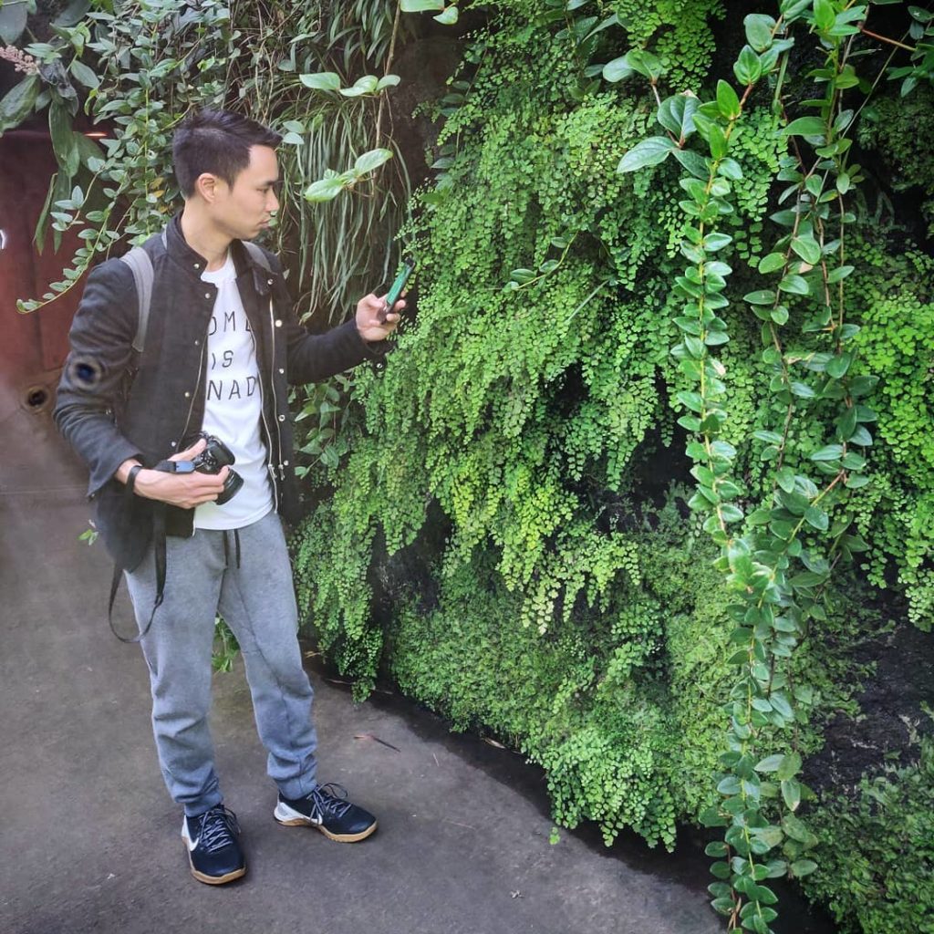 houseplantjournal: Such a pleasure to visit the @nybg – I’m so inspired by your wall of maidenhair … Such a pleasure to visit the @nybg - I'm so inspired by your wall of maidenhair ...