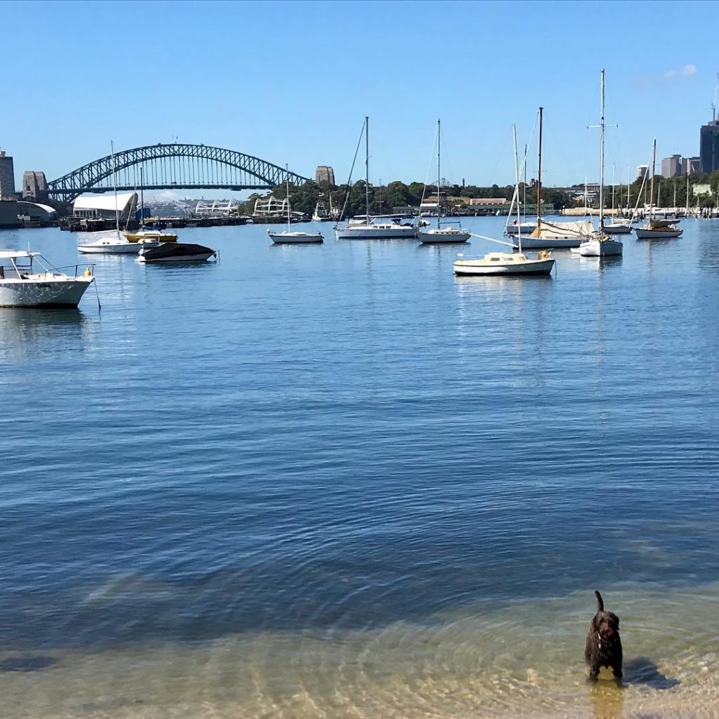 #ada unaware what is behind her -  the magnificent #sydneyharbourbridge #icallau...