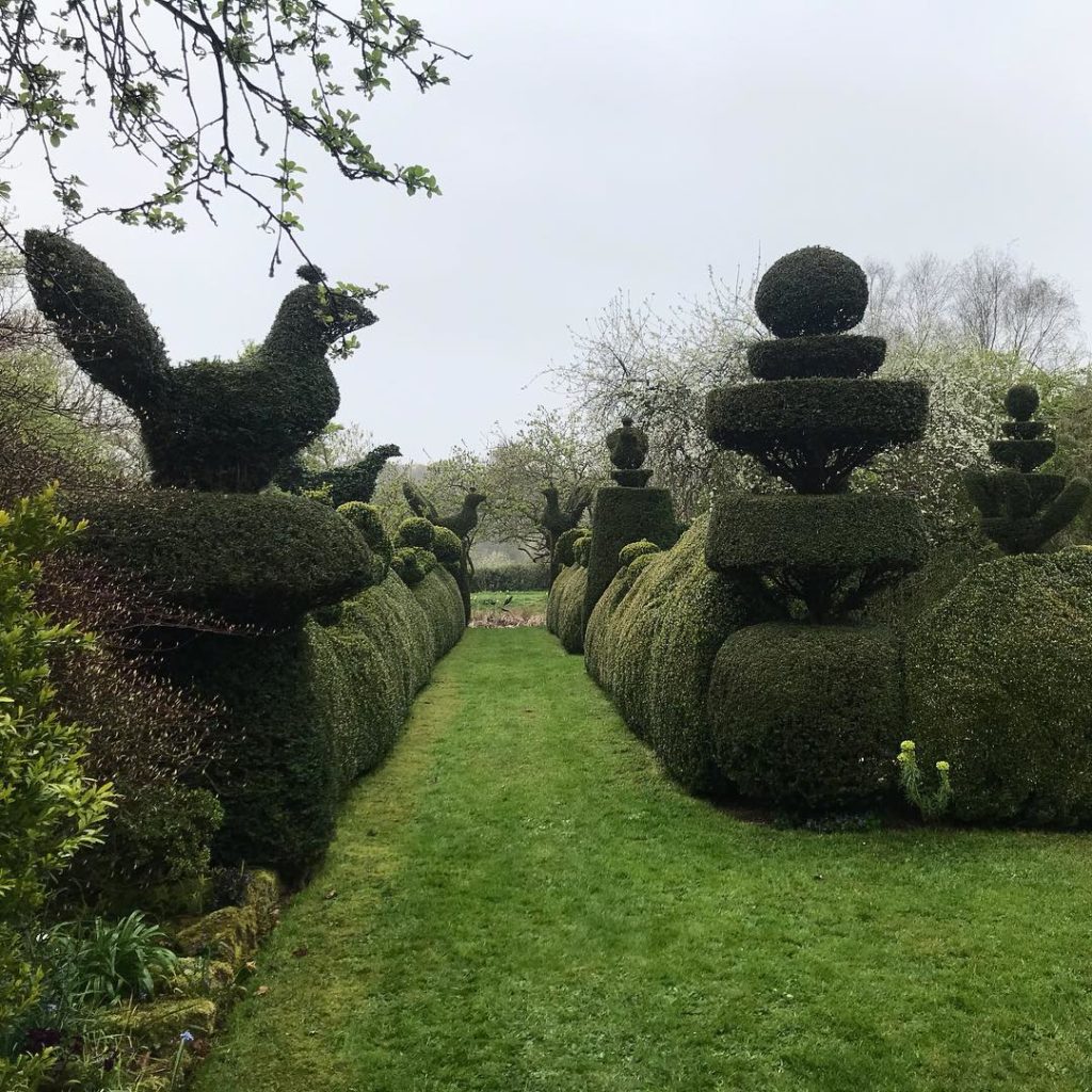 Unexpected pleasures @nationalgardenscheme #wonderful  #balmoralcottage...