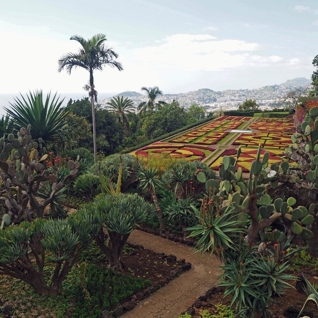 gardendesignmag:   We love seeing your garden adventures! Here’s one from our friend @patricia.m…. We love seeing your garden adventures! Here’s one from our friend @patricia.m....