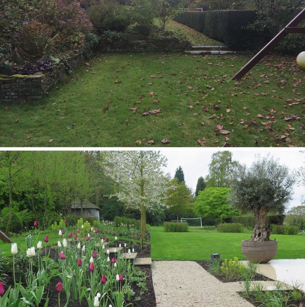 #beforeandafter a bit of a #transformation #charlotterowegardendesign just to re...