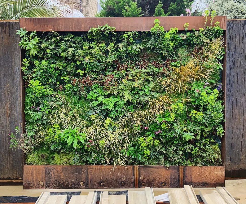 The guys on site are calling this the RHS TV - it’s a very long programme expert...