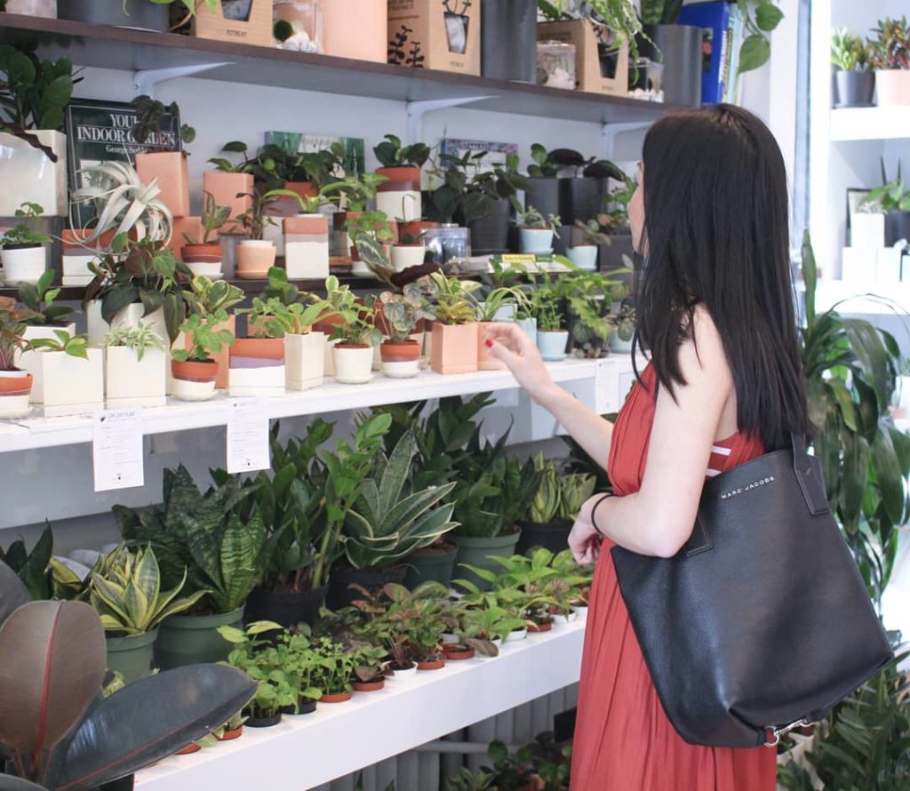 houseplantjournal: This Friday, 4pm – my wife and I will be hanging out at @thesill (UWS store) – c… This Friday, 4pm - my wife and I will be hanging out at @thesill (UWS store) - c...