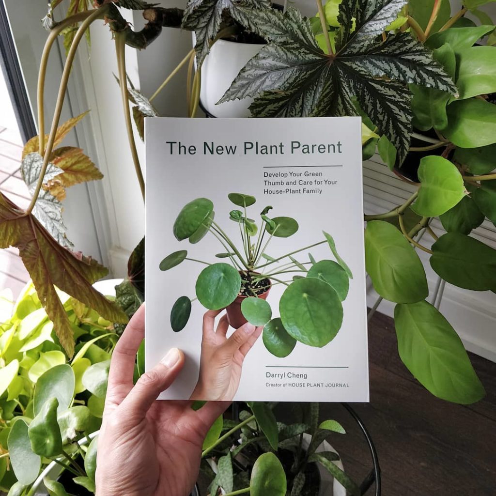 houseplantjournal: ‘The New Plant Parent’ is the result of having been asked thousands of house pla… 'The New Plant Parent' is the result of having been asked thousands of house pla...