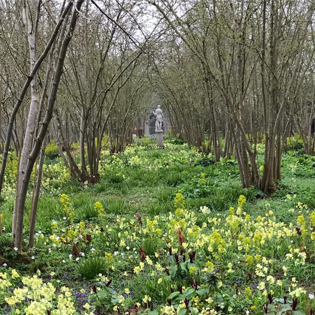 Coppice & carpet #hazel #trilliumsessile #primulaveris #fritillaria #euphorbia #...