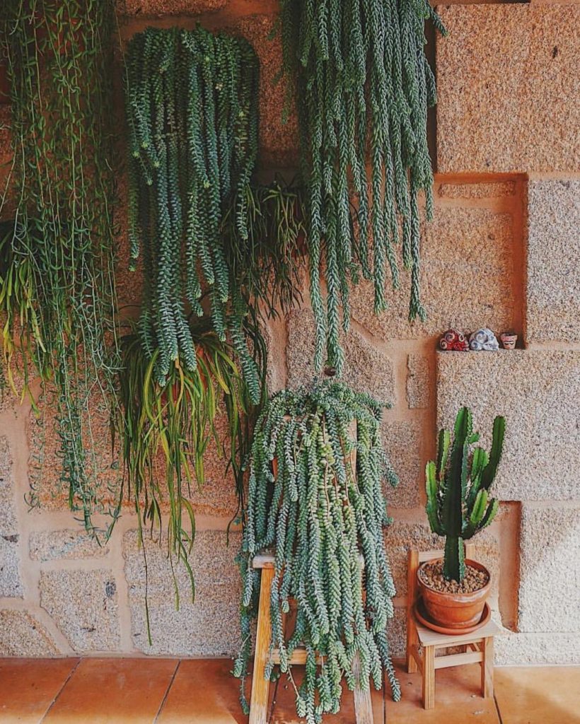 @motherofcrasas, can we meet these spillers next time we’re in Spain?! They’ve g...