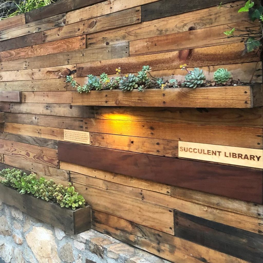 You would have spent more time at the library...
.
.
.
#innatmoonlightbeach #enc...