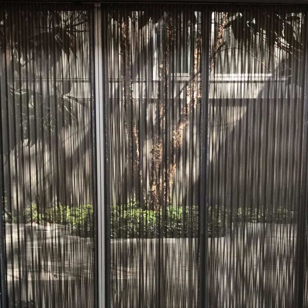 Glimpse #privatespaces #courtyard #betulaalbosinensis #light #whatlieswithin...
