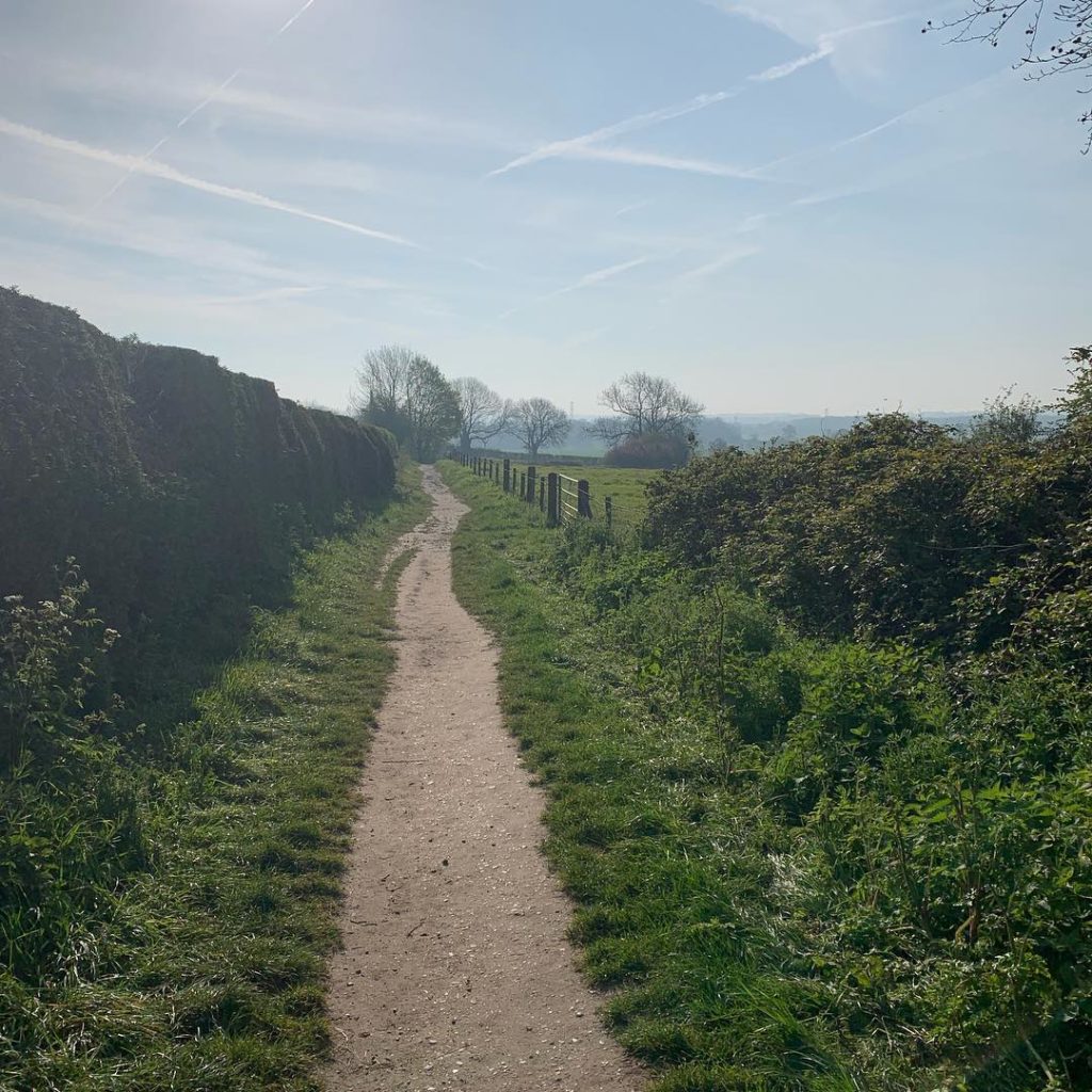 Morning walk in the glorious sunshine. A little bit of #rhschelsea ‘mind clear’ ...