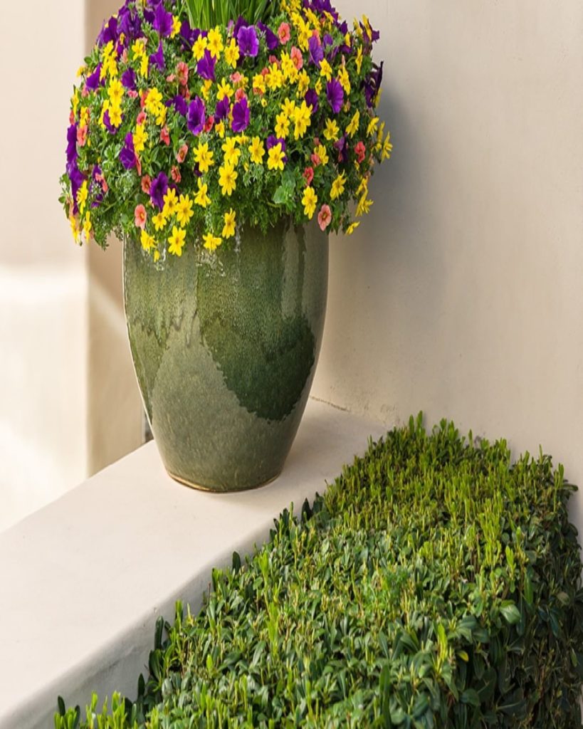 Spring beauty is just a click away when you order a Flower Pillow from ProvenWin...