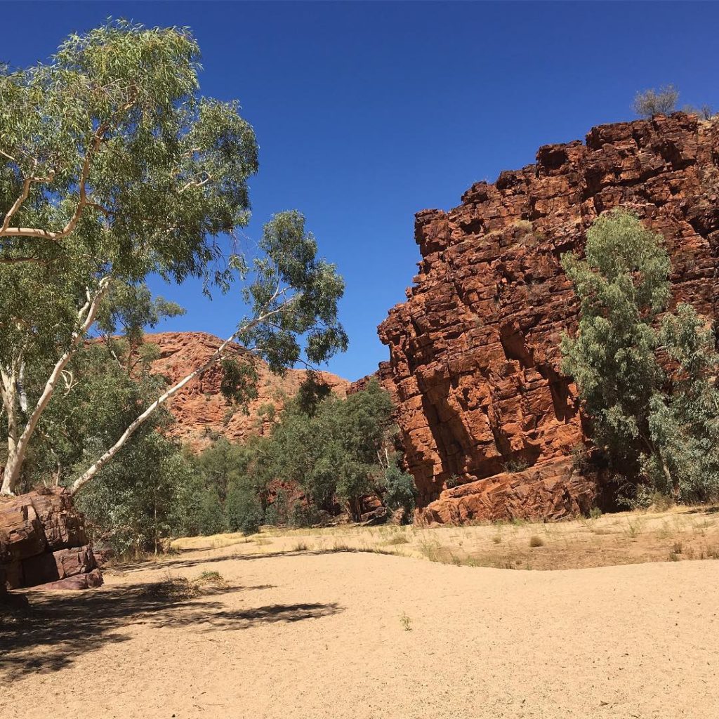 #trephinagorge #eastmacdonnellranges #redcentre #northernterritory #icallaustral...