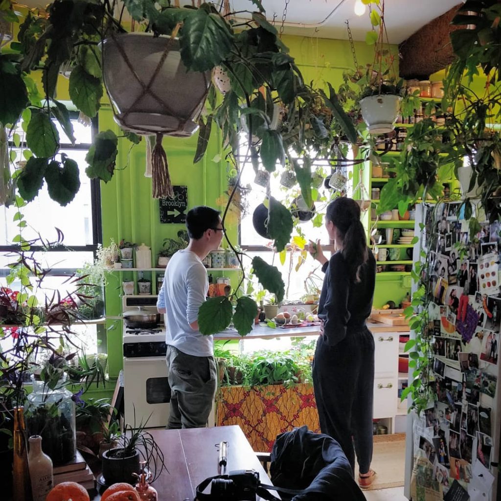 houseplantjournal: Skipping spring and going right to Summer: so happy to visit @homesteadbrooklyn … Skipping spring and going right to Summer: so happy to visit @homesteadbrooklyn ...