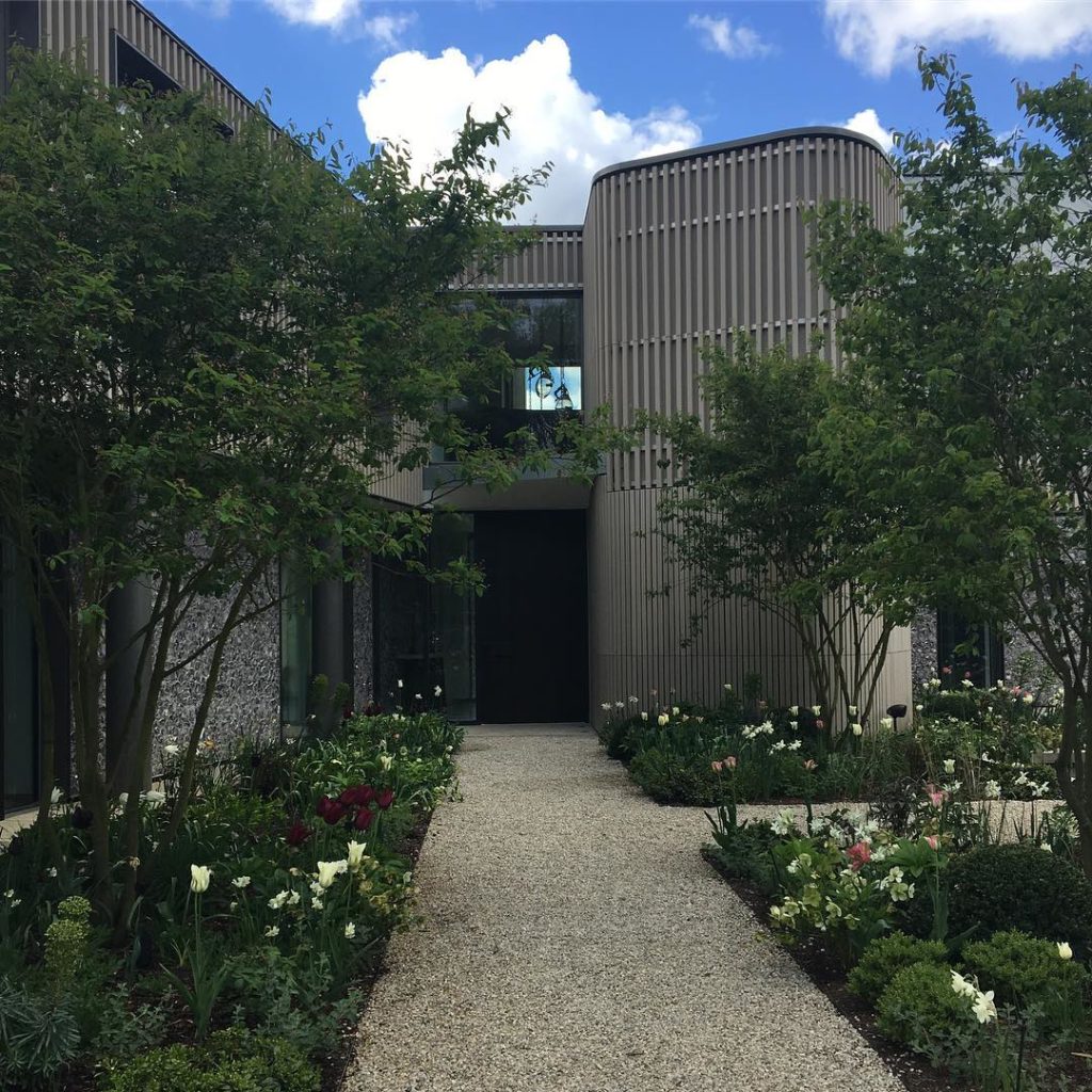 #frontentrance #multistem #amelanchier #tulips #charlotterowegardendesign #oxfor...