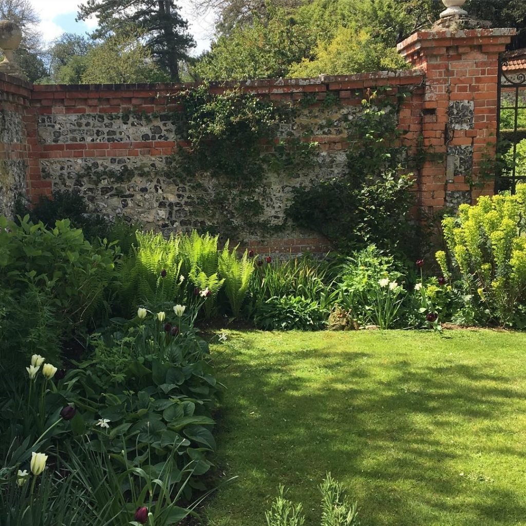 #mylittlegarden #wiltshire #comingtolife #charlotterowegardendesign...