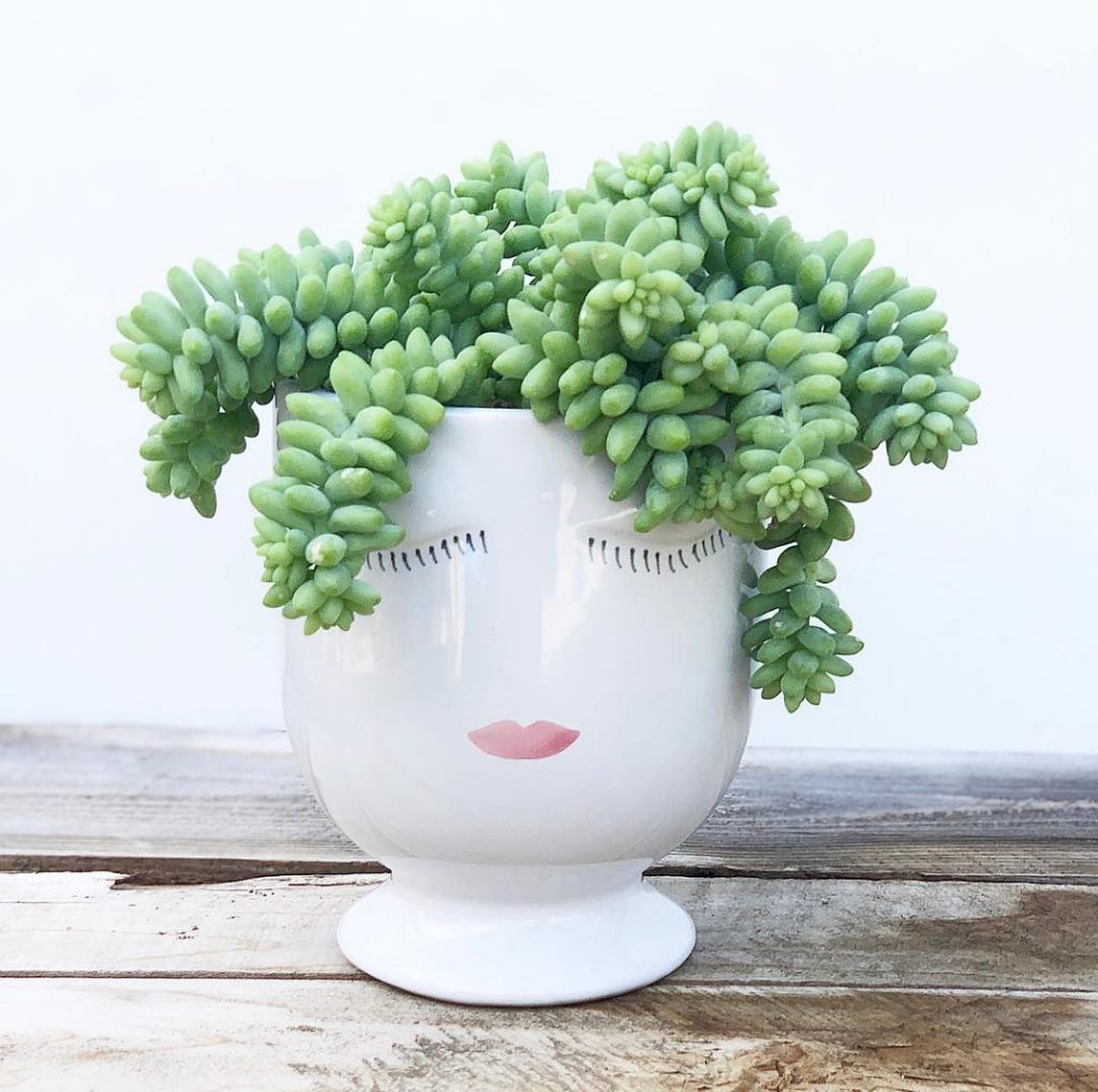 New pots!  shop link in bio!...