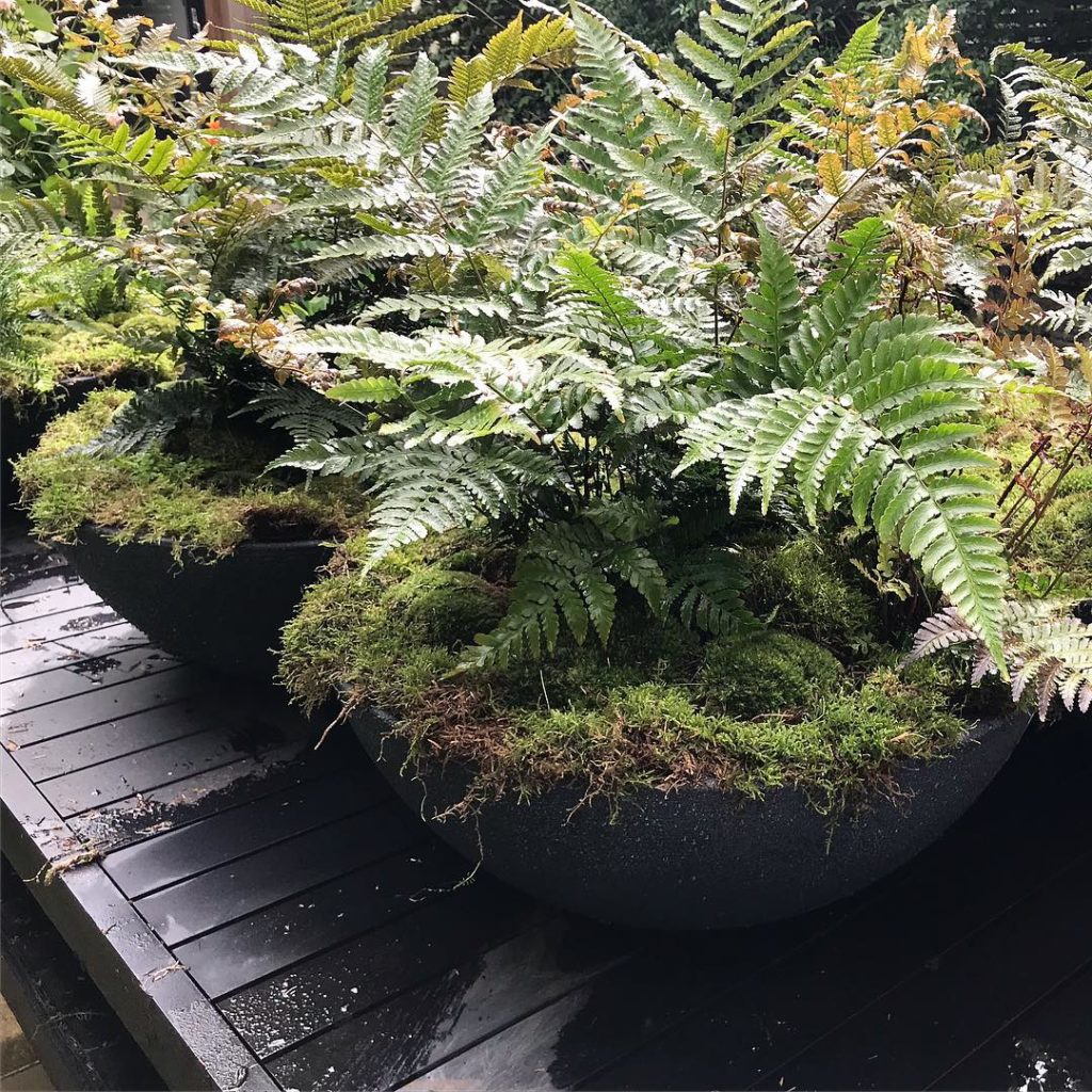 Chelsea takeover... weekend of planting up just some of the large planters for m...