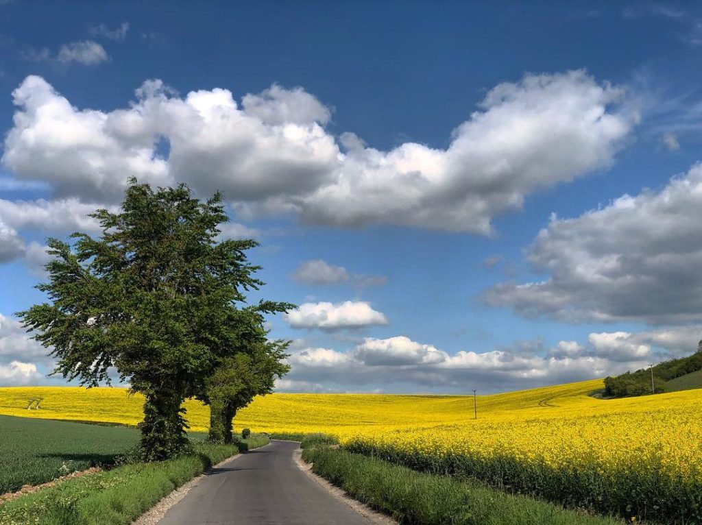 #bestofbritish  #spring ...