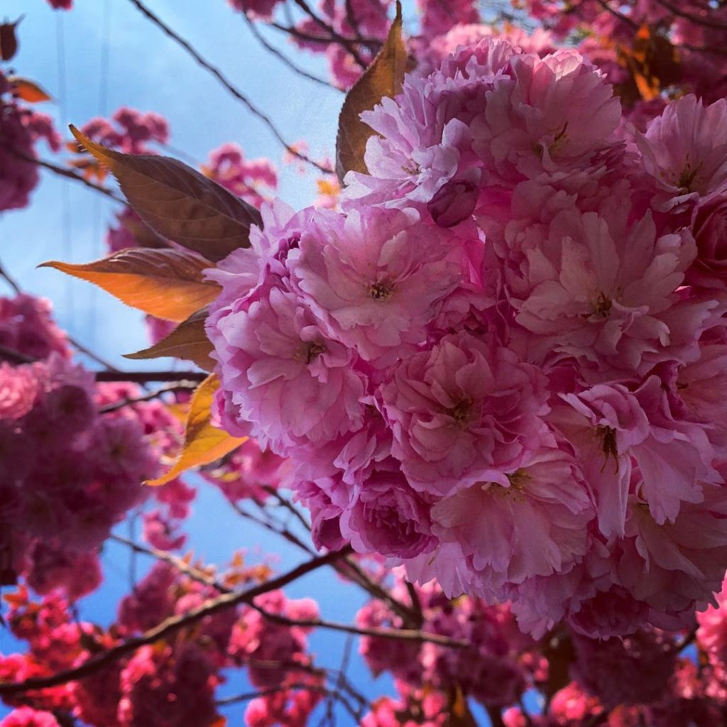 Literally humming with bees and making a statement from one of the street to the...