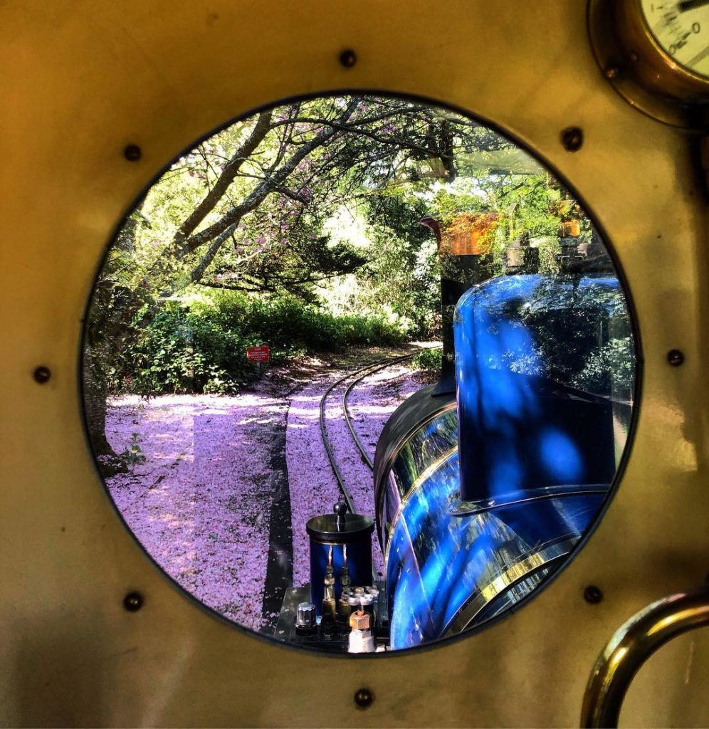 #driver’s #eye #view : blossom on the #line : #steamtrain #heaven...