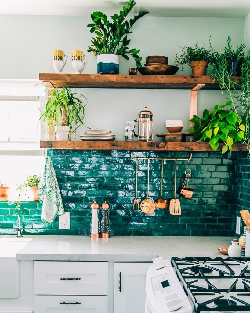 What are your favorite #shelfie plants? Are you into spillers, succulents, cacti...