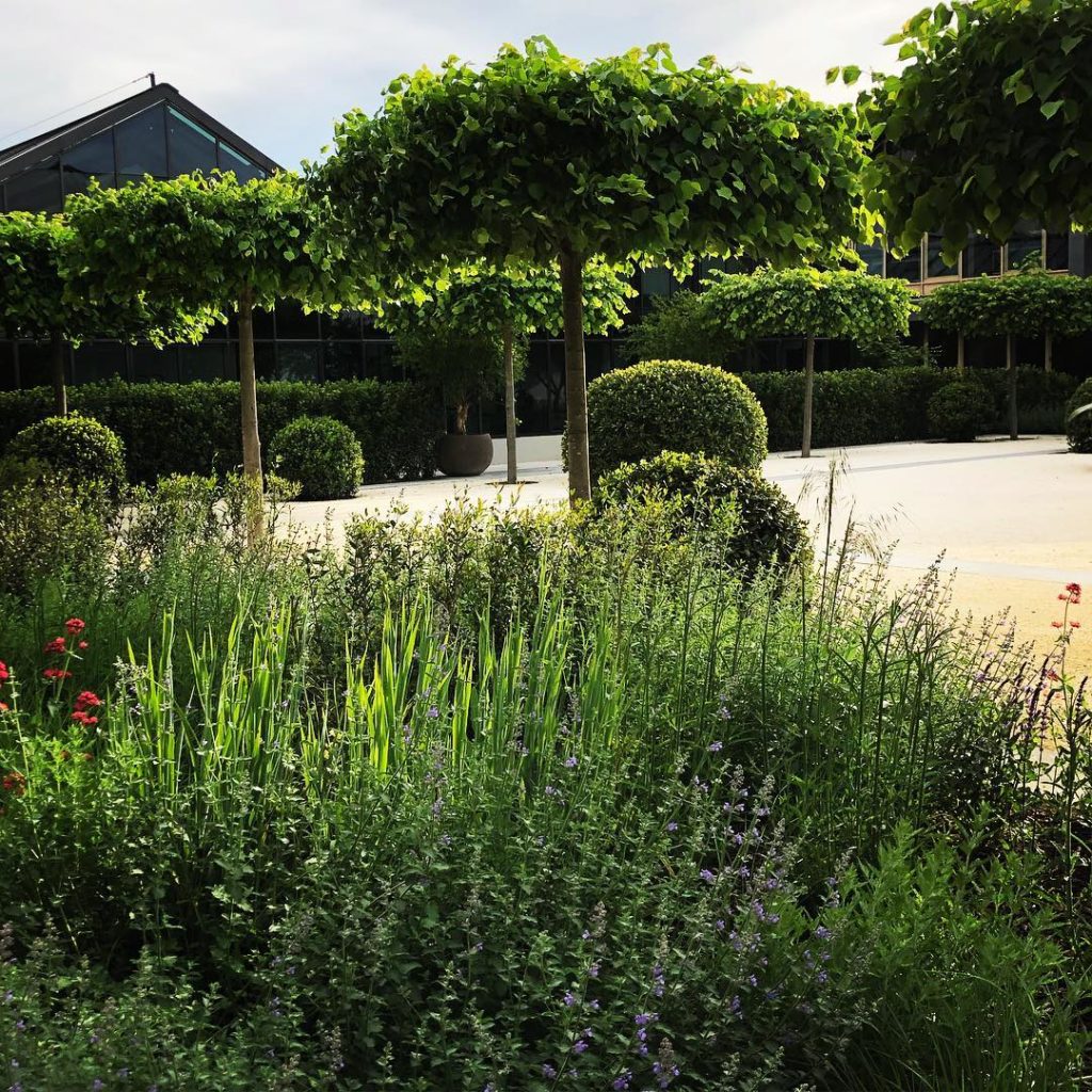 Catching the last rays  #myhowyouvegrown #itsgoodtobeback #davines #davinesvilla...