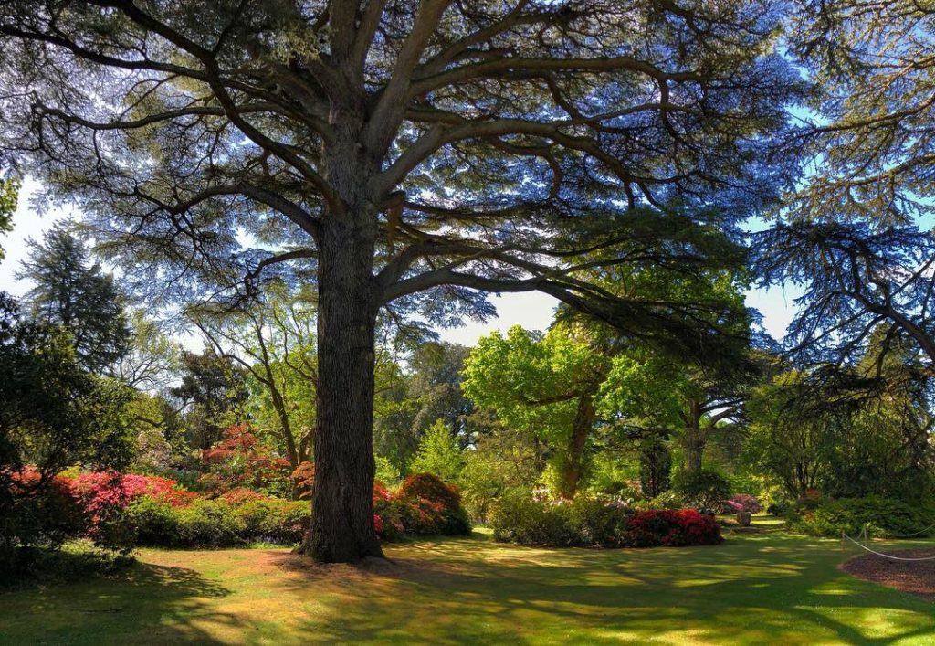 There aren’t enough superlatives to describe the #beauty of this #garden ...