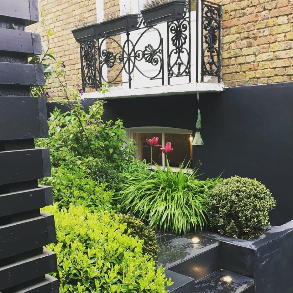 #black a #favourite #backdrop even for #tulips #smallgarden #urbanjungle #courty...