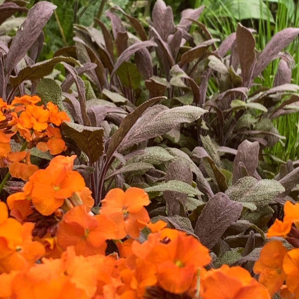 There has been a lot of green steel dominating posts of late so I thought I’d he...