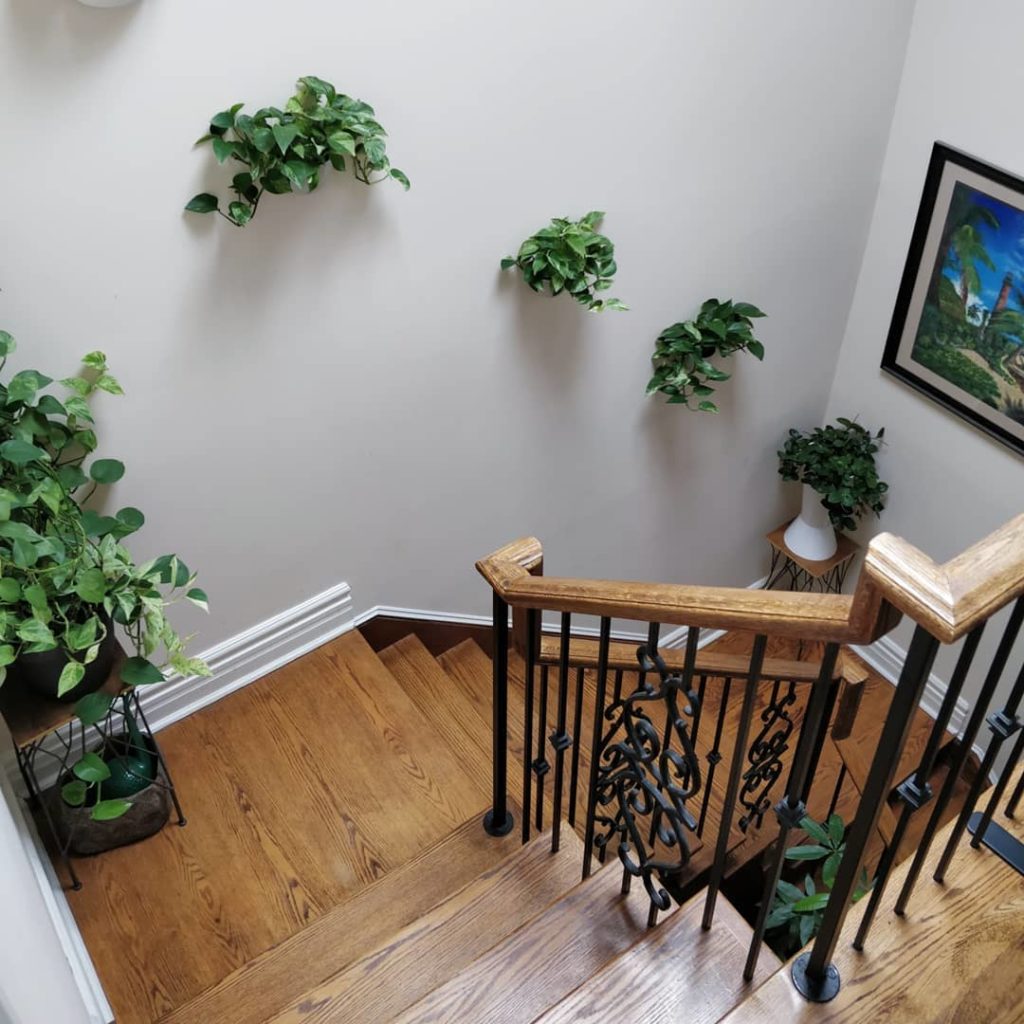 houseplantjournal: My approach to house plant care:
–
1) Understand your conditions: the skylight i… My approach to house plant care:
-
1) Understand your conditions: the skylight i...