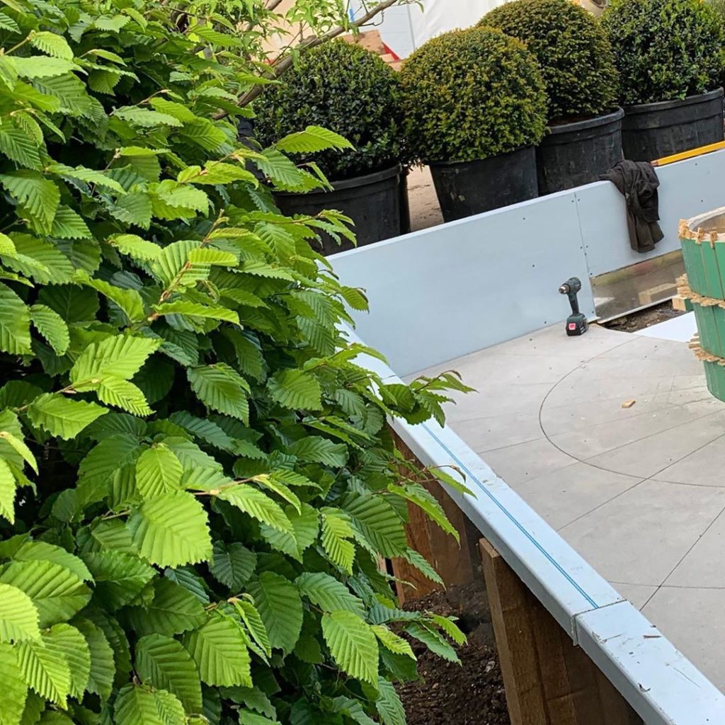 ‪It might not look like much but this is the first plant in the ground to green ...