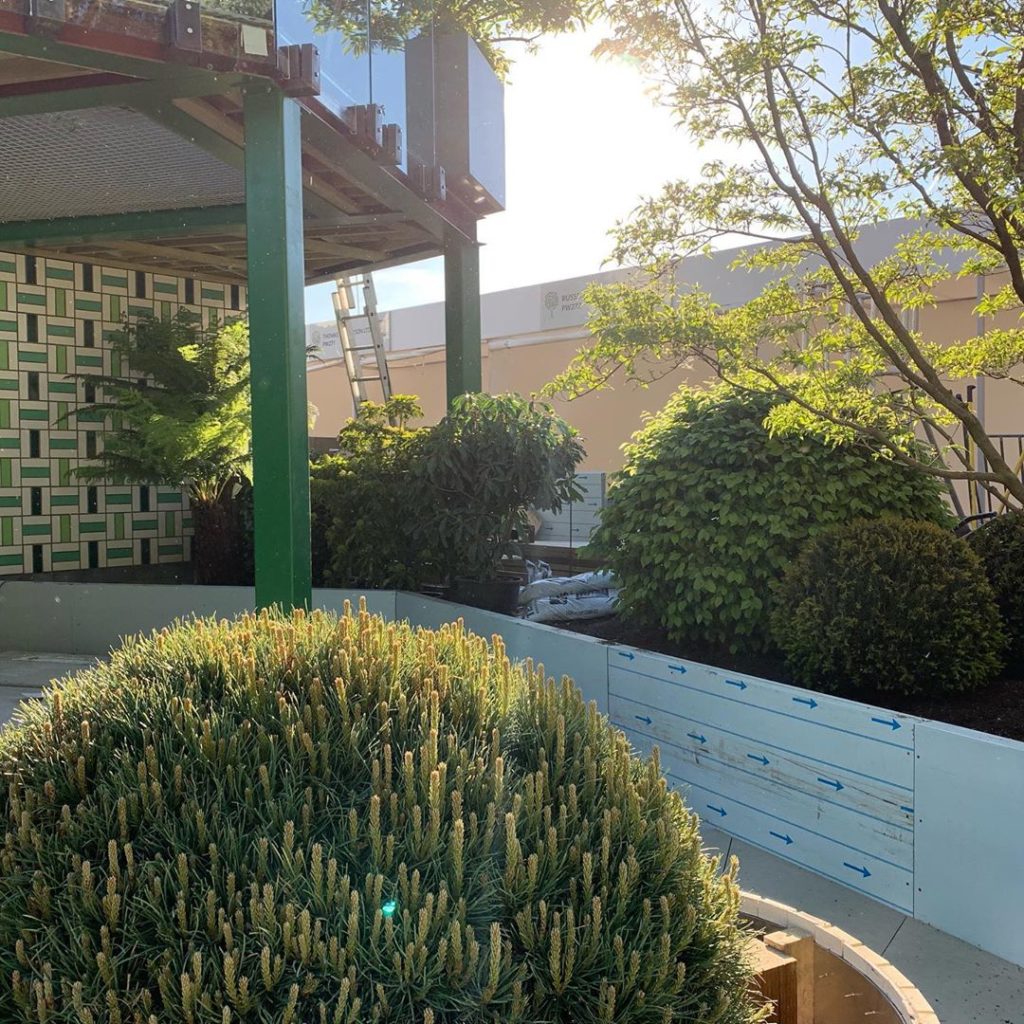 Evening light #rhschelsea @greenfingerscharity garden #longday #progress #stilla...