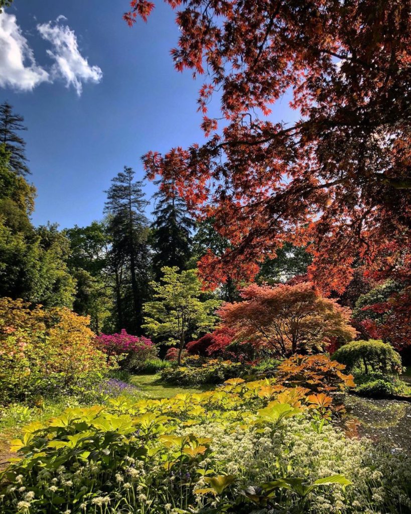 #paradise : #psychedelic #tranquility - if that’s not an oxymoron!...