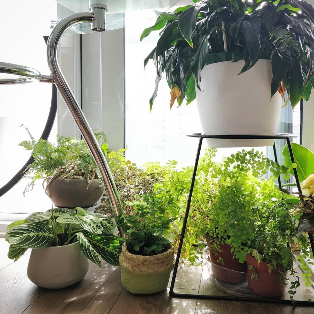 This is the view under my dining table. Is there anything wrong with my Peace Li...