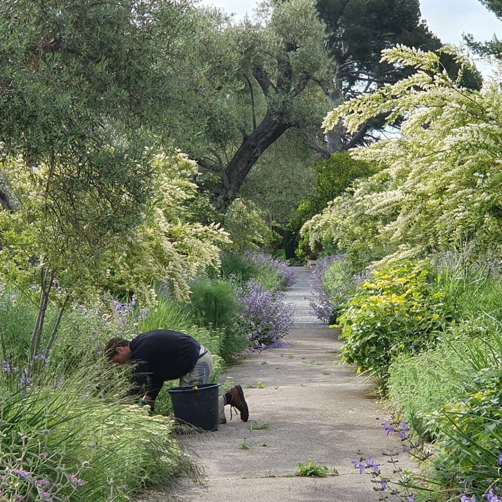 In praise or the 'Artist Gardener' Alek Stoodley...