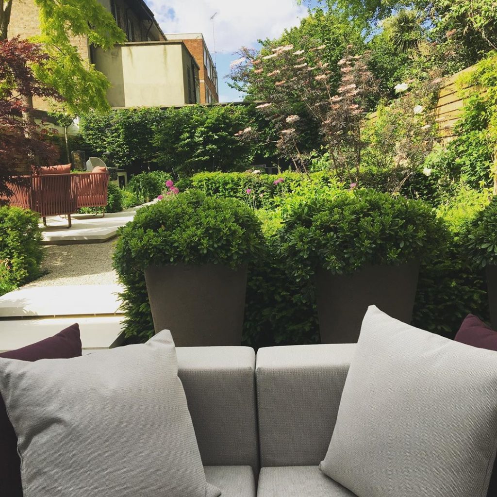 New #garden #firstseason #newlyplanted #lookinggood #charlotterowegardendesign #...