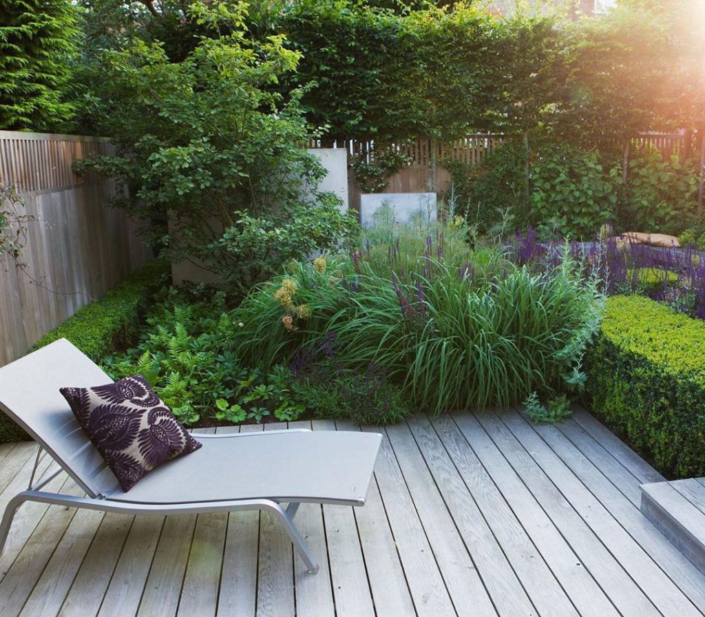 One of my favourite shots by @clivenichols of one of our #gardens in #chiswick #...