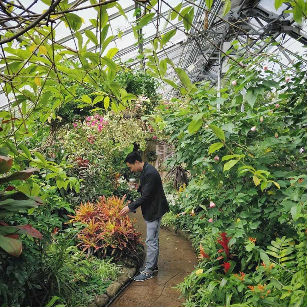 houseplantjournal: It’s a beautiful day in Toronto. Go enjoy a botanical garden.
–
2⃣ If you… It's a beautiful day in Toronto. Go enjoy a botanical garden.
-
2⃣ If you...