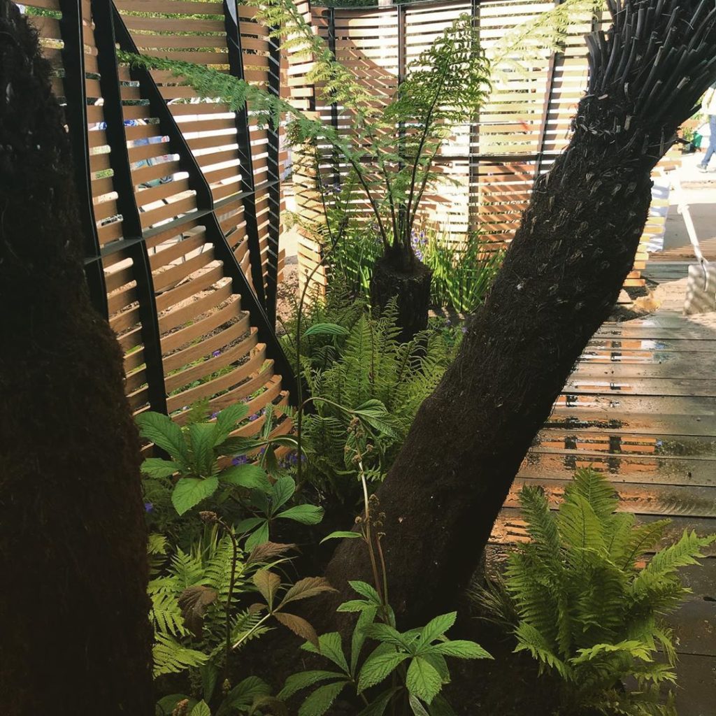 In progress #sneakpeak plus shovel @tomraffield #forceofnature @rhs_chelseaflowe...