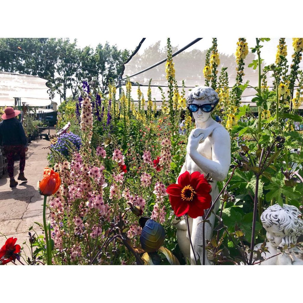 Annie, you’re a stunner  first trip to @anniesannuals, and it was a floral fever...