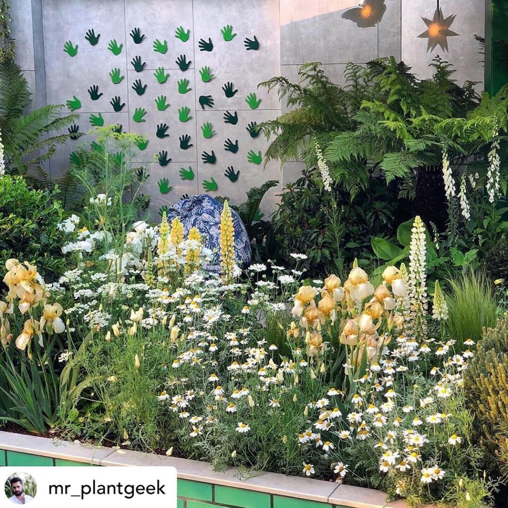 @mr_plantgeek SO PLEASED you like this! @greenfingerscharity will be chuffed! #r...