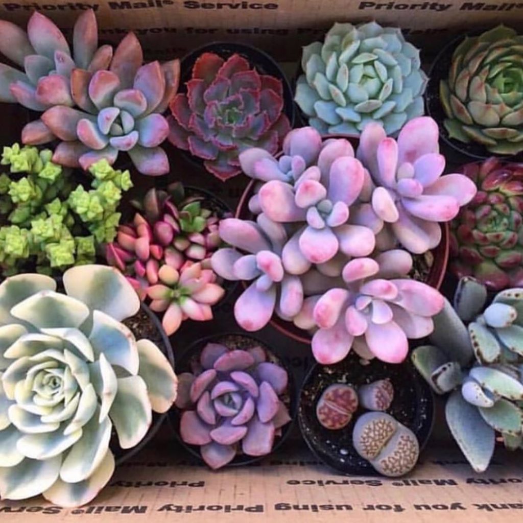 Psssst Girls and Guys.... our biggest sale is happening right now! We have Pots,...