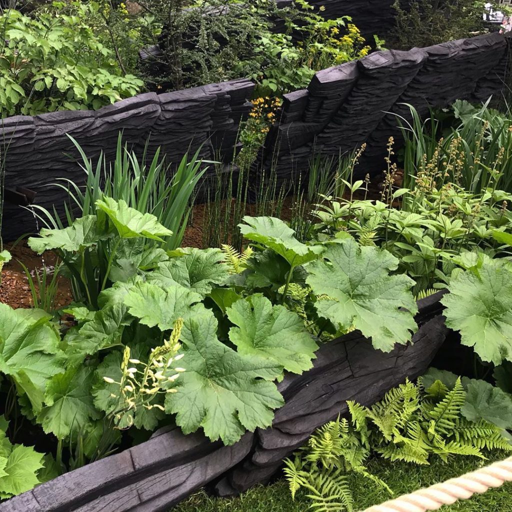 Ecological succession. Thanks for an enlightening talk by RHS Chelsea #bestinsho...