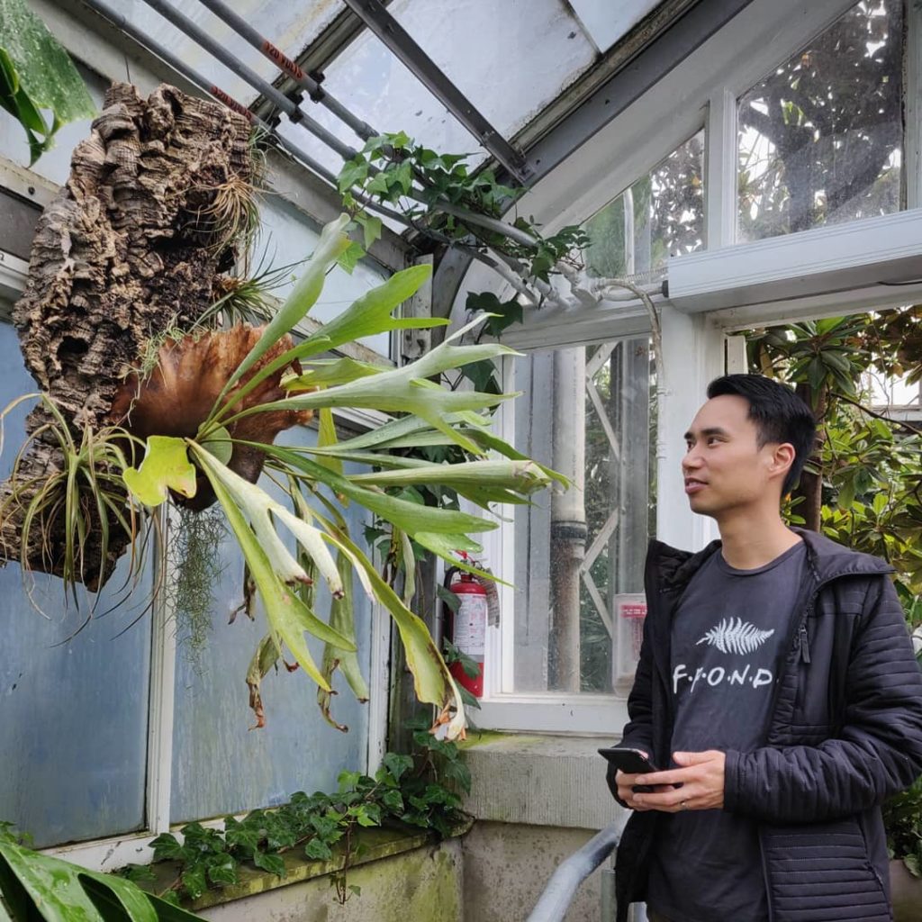 houseplantjournal: Hanging out with my fav fronds – official t-shirt design by @jrlefrancois – than… Hanging out with my fav fronds - official t-shirt design by @jrlefrancois - than...