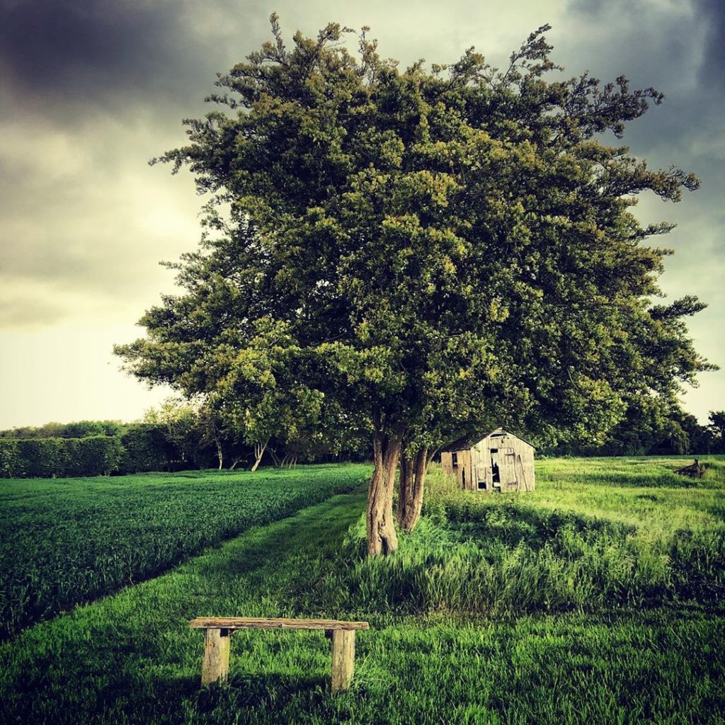 Before the storm #just #suffolk #mayweather #loopwalk...