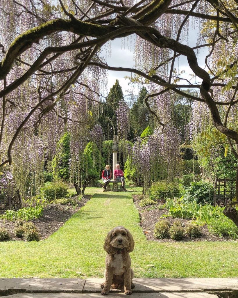 Household hierarchy!...